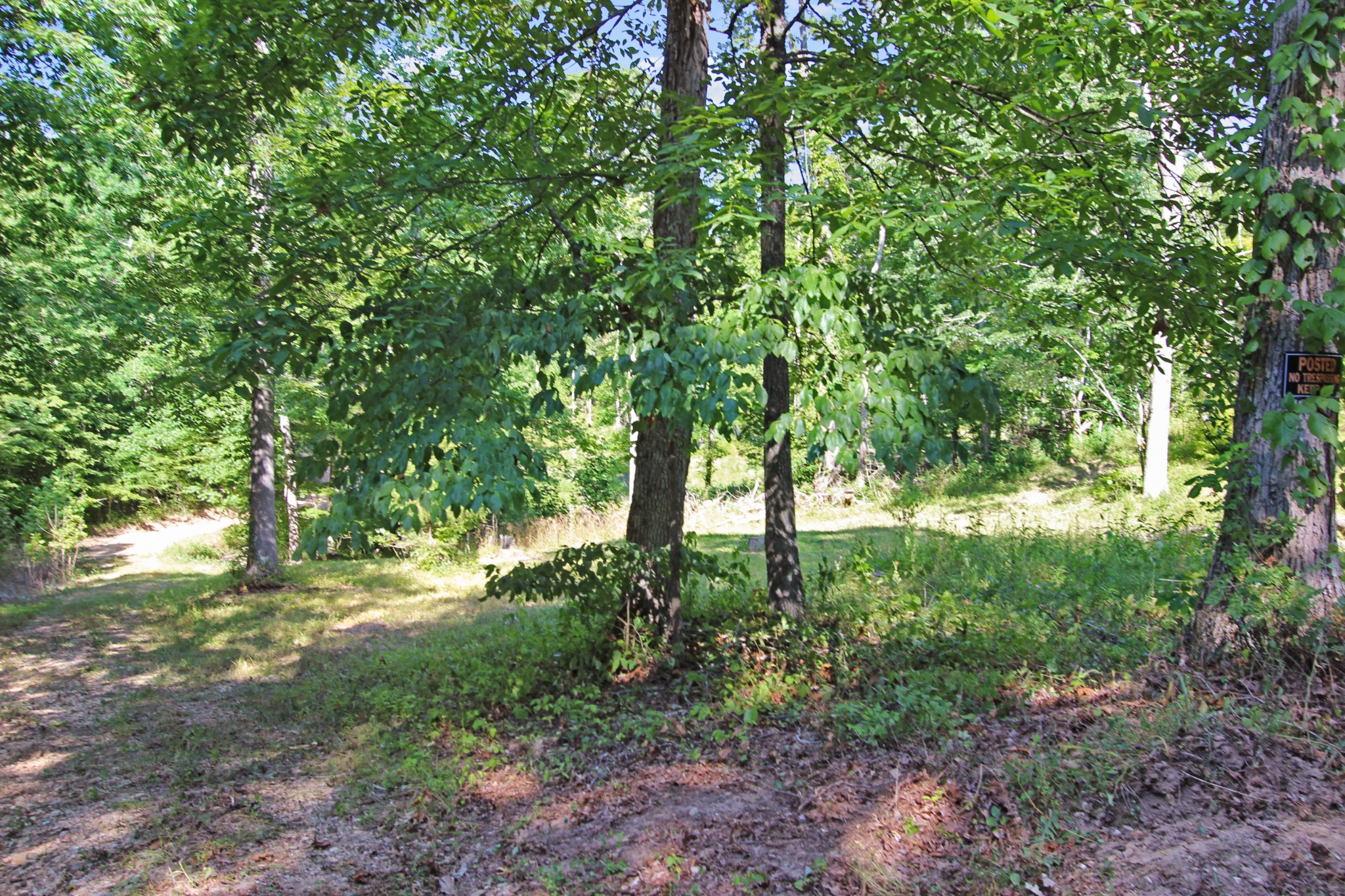 0 Taylor Chapel Road Dover, TN 37058 - Photo 8 of 15 Gallery Image 8