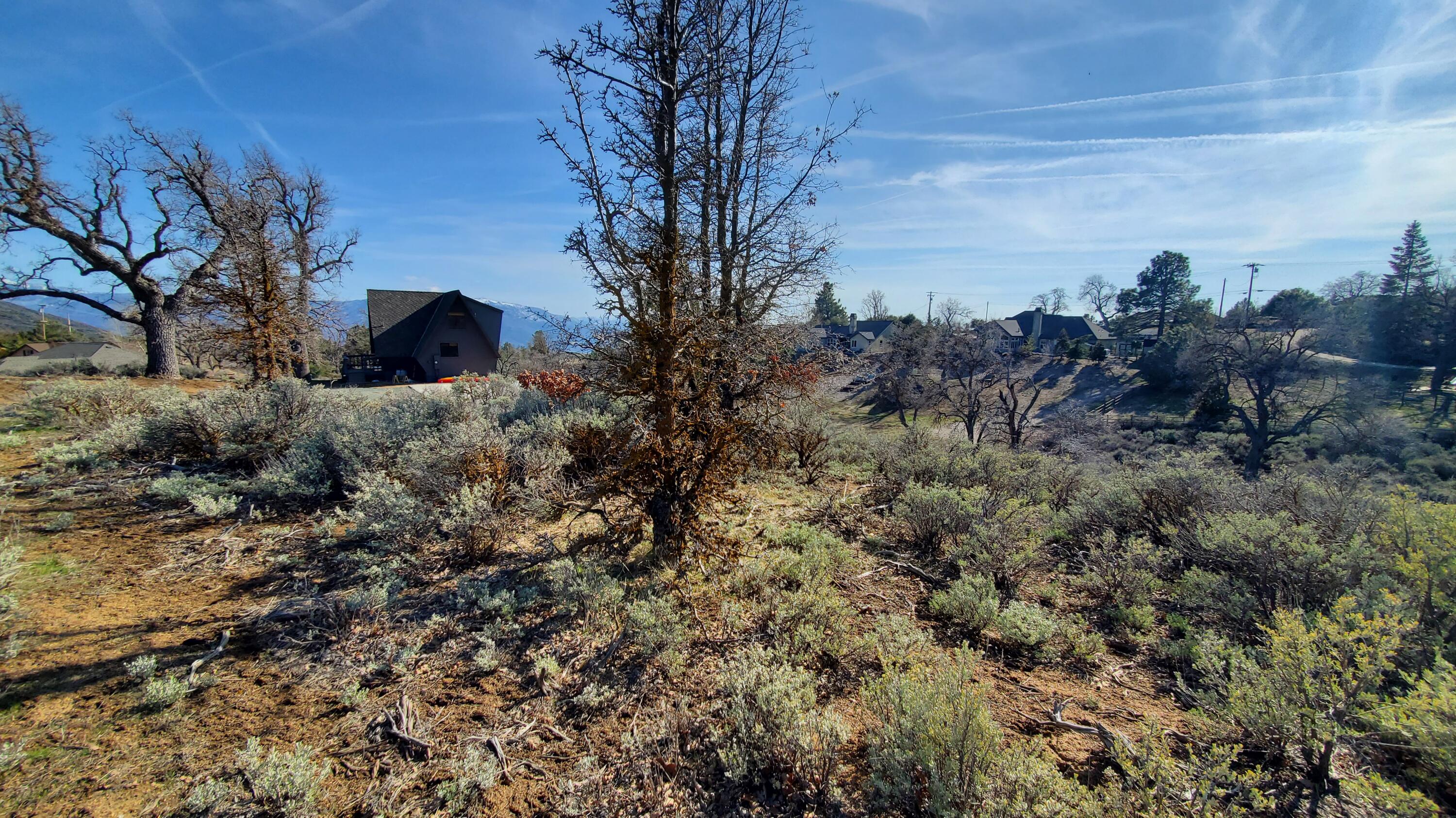25041 Jacaranda Drive Tehachapi, CA 93561 - Photo 15 of 30 20230405_162146