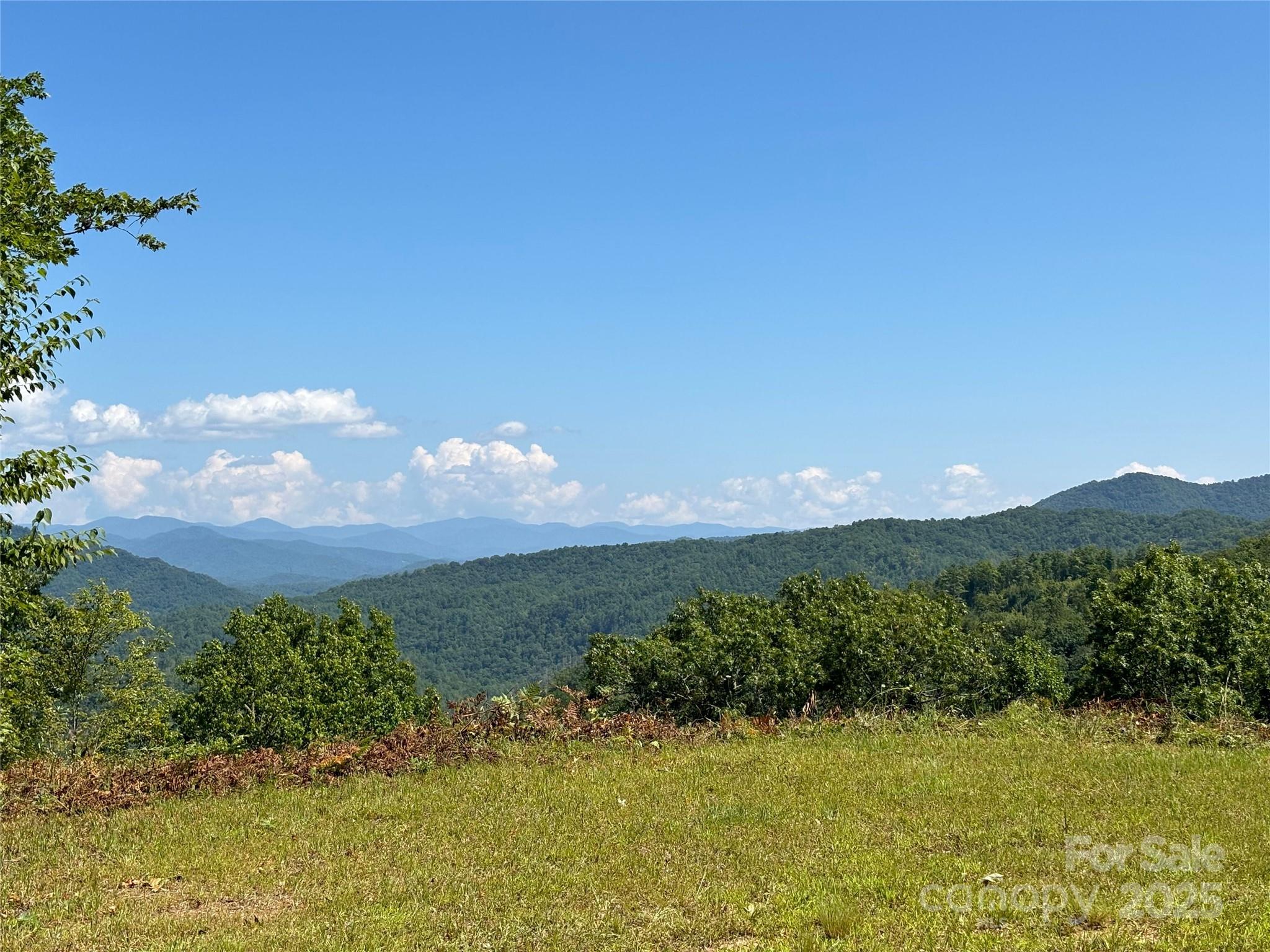 111 Little Bear Road Bryson City, NC 28713 - Photo 2 of 11 a view of a lake with a mountain in the background