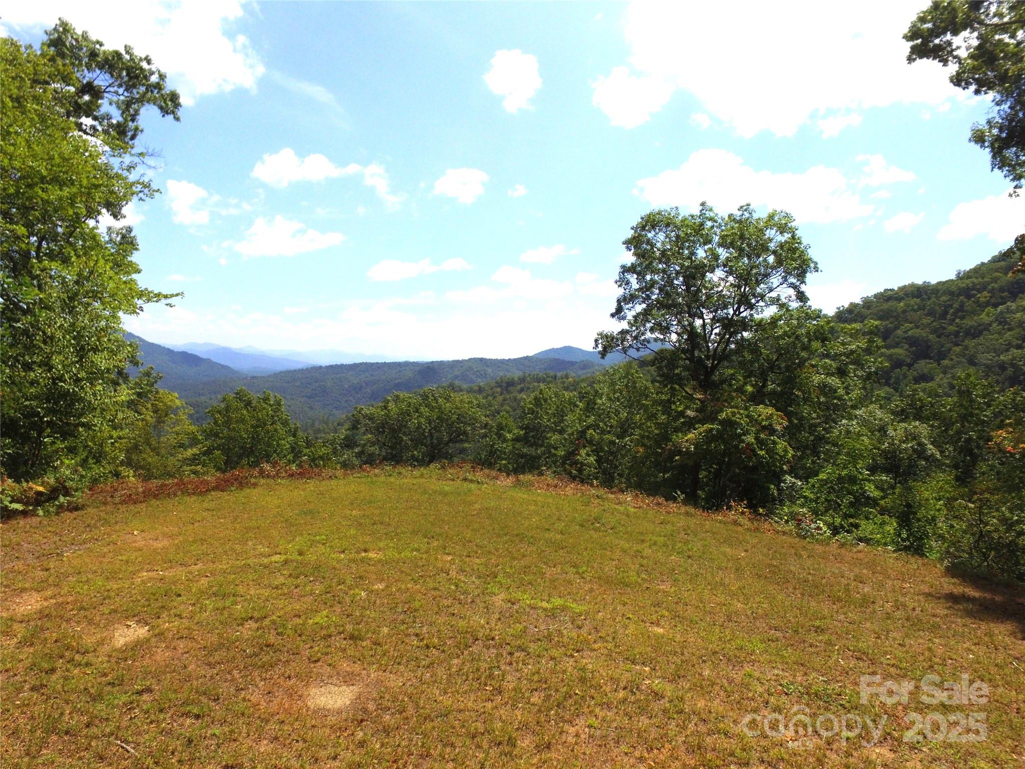 111 Little Bear Road Bryson City, NC 28713 - Photo 4 of 11 a view of a lake with a mountain
