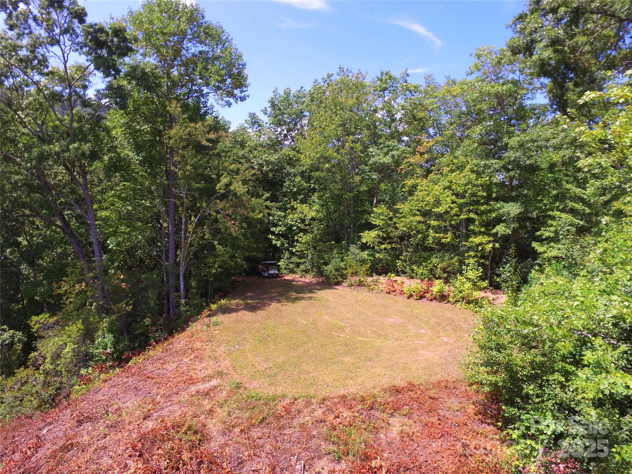 111 Little Bear Road Bryson City, NC 28713 - Photo 5 of 11 a view of a yard with a tree