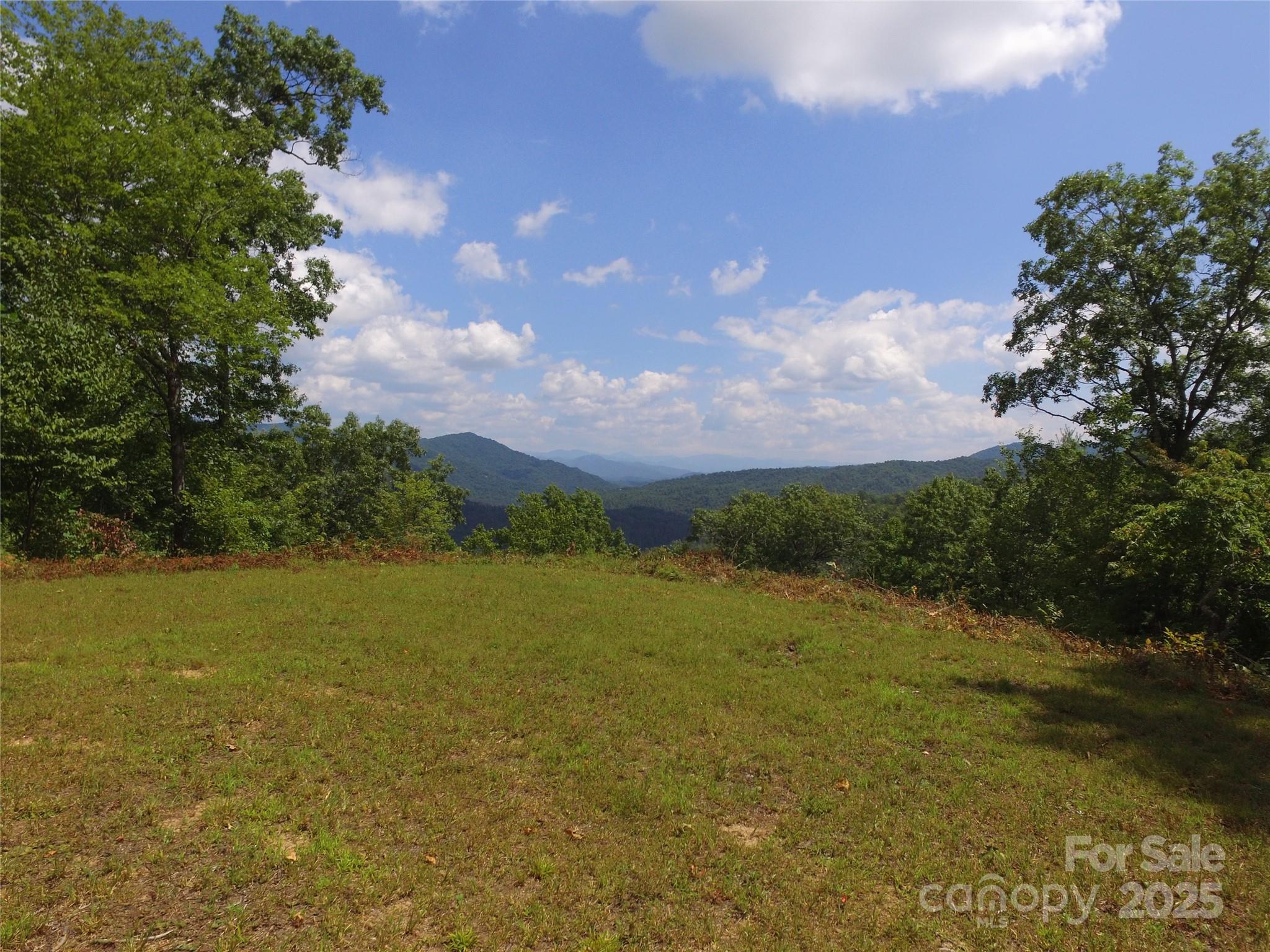 111 Little Bear Road Bryson City, NC 28713 - Photo 7 of 11