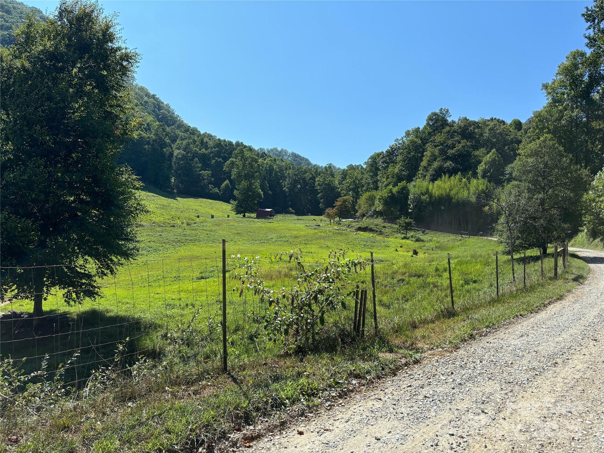 111 Little Bear Road Bryson City, NC 28713 - Photo 10 of 11 a view of a park with large trees