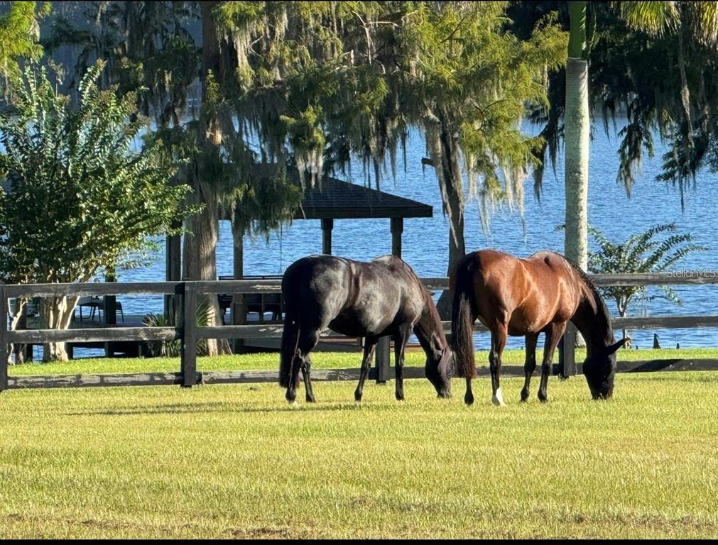 0 Lake Mills Road Oviedo, FL 32766 - Photo 38 of 49