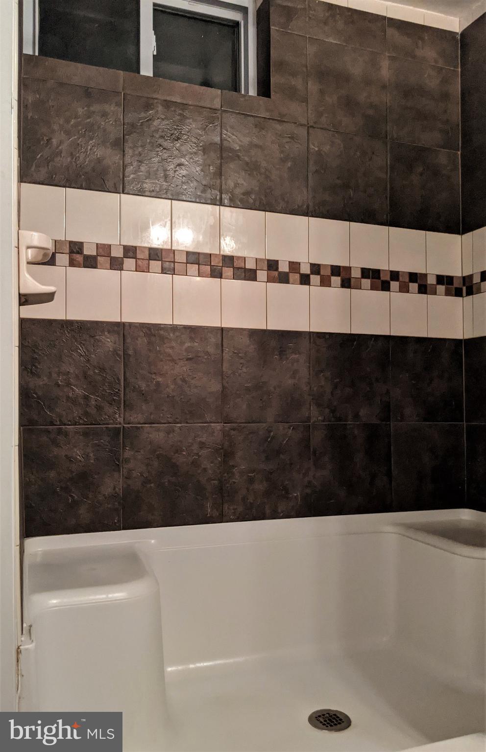 16500 Brandywine Road Brandywine, MD 20613 - Photo 17 of 21 lower level shower