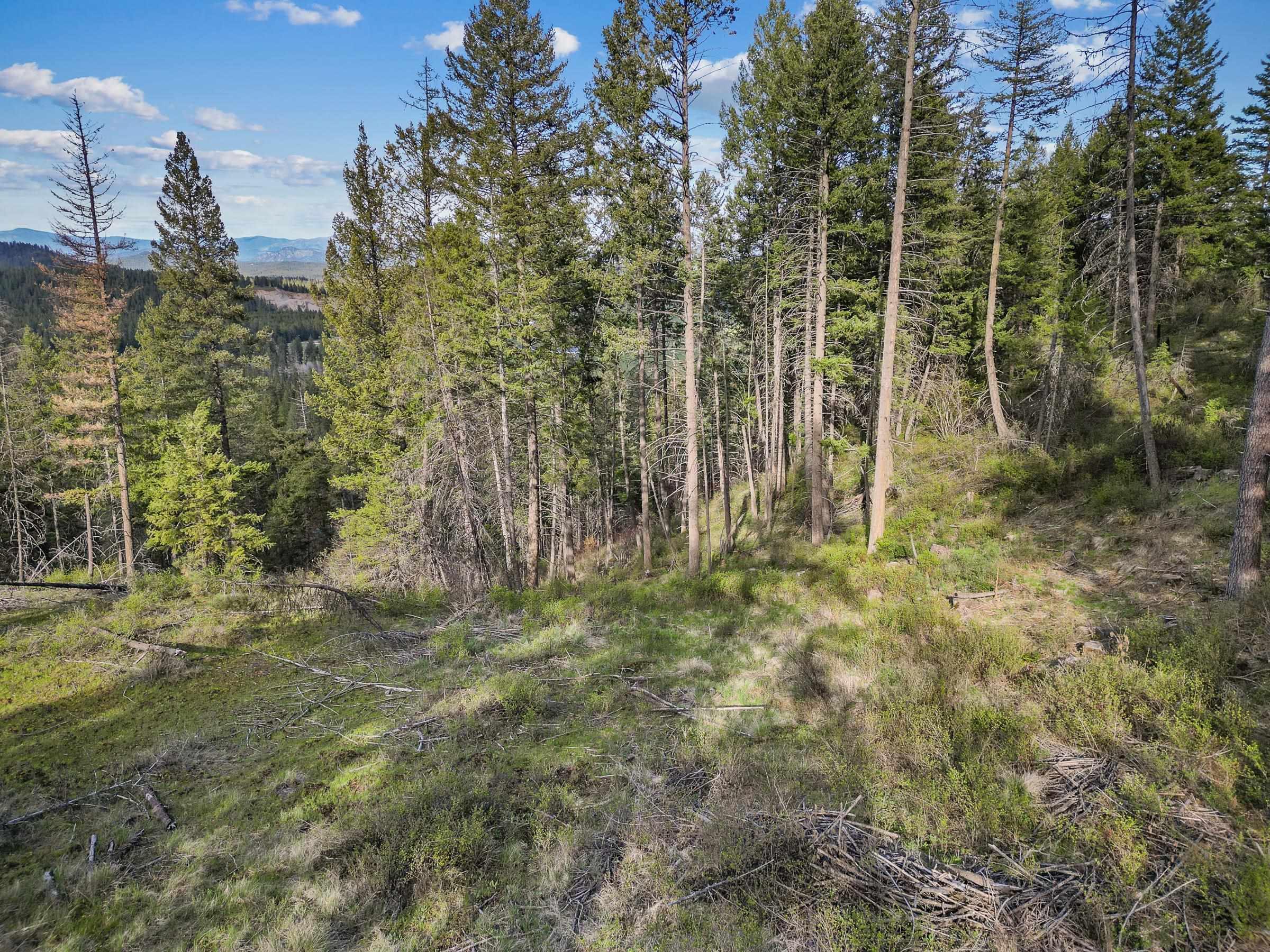 Xxx Springdale-Hunters Road Springdale, WA 99173 - Photo 4 of 13 Gallery Image 4