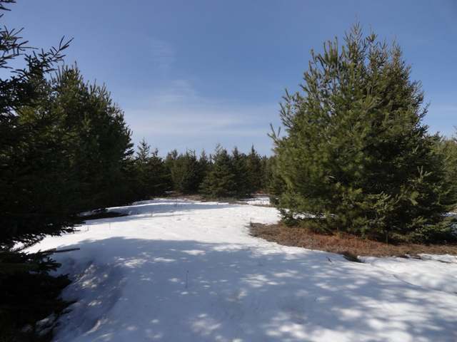 Lot 30 Pheasant View Drive Rhinelander, WI 54501 - Photo 18 of 20 Gallery Image 18