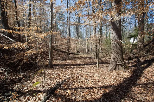 a backyard of a house with lots of plants