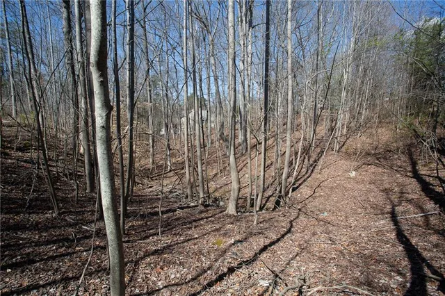 a view of a backyard with pathway