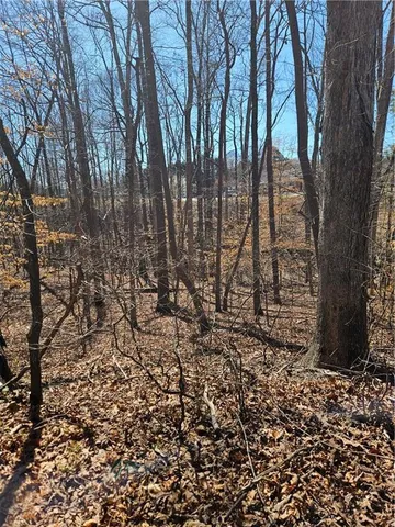a view of a yard with lots of green space