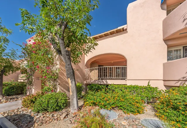 a view of a back yard of the house