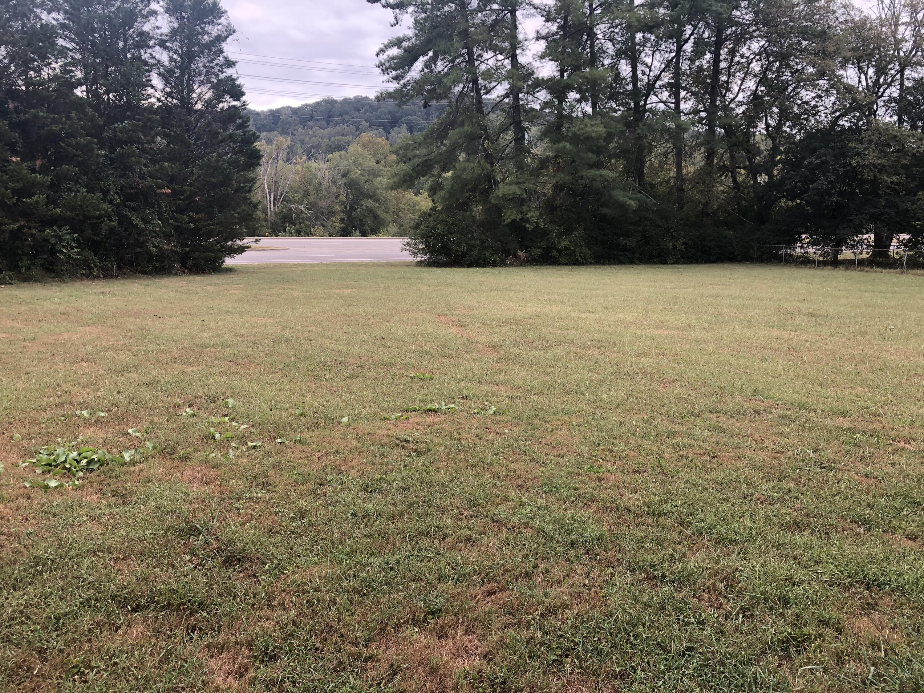 115 Beverly Circle Oak Ridge, TN 37830 - Photo 18 of 20 Flat Back Yard
