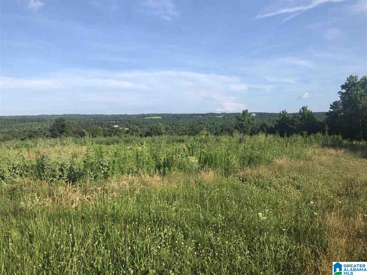 0 Highway 12 Oneonta Al Oneonta, AL 35121 - Photo 4 of 5