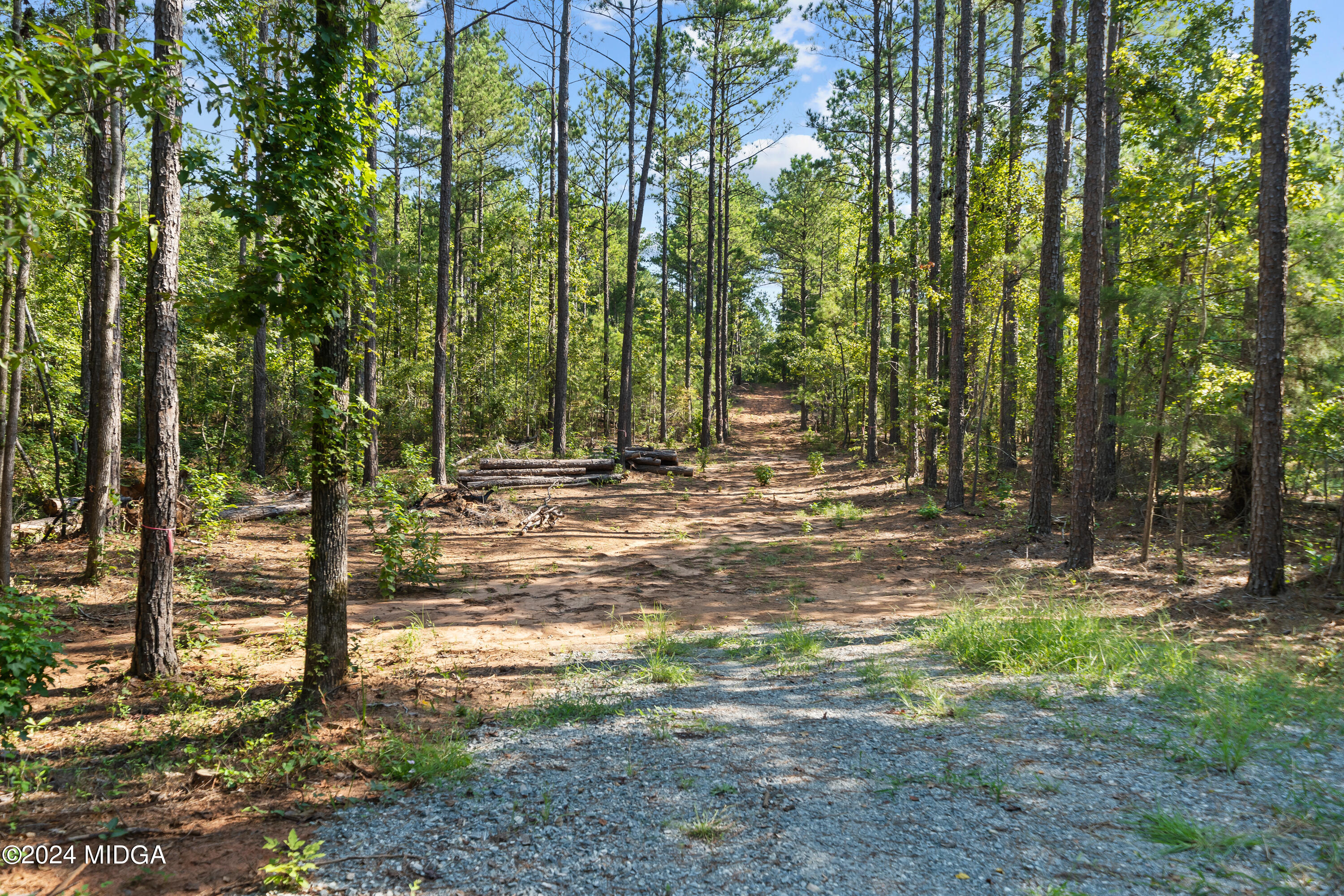 359 Bowen Hill Road Haddock, GA 31033 - Photo 14 of 16 a view of a yard with trees