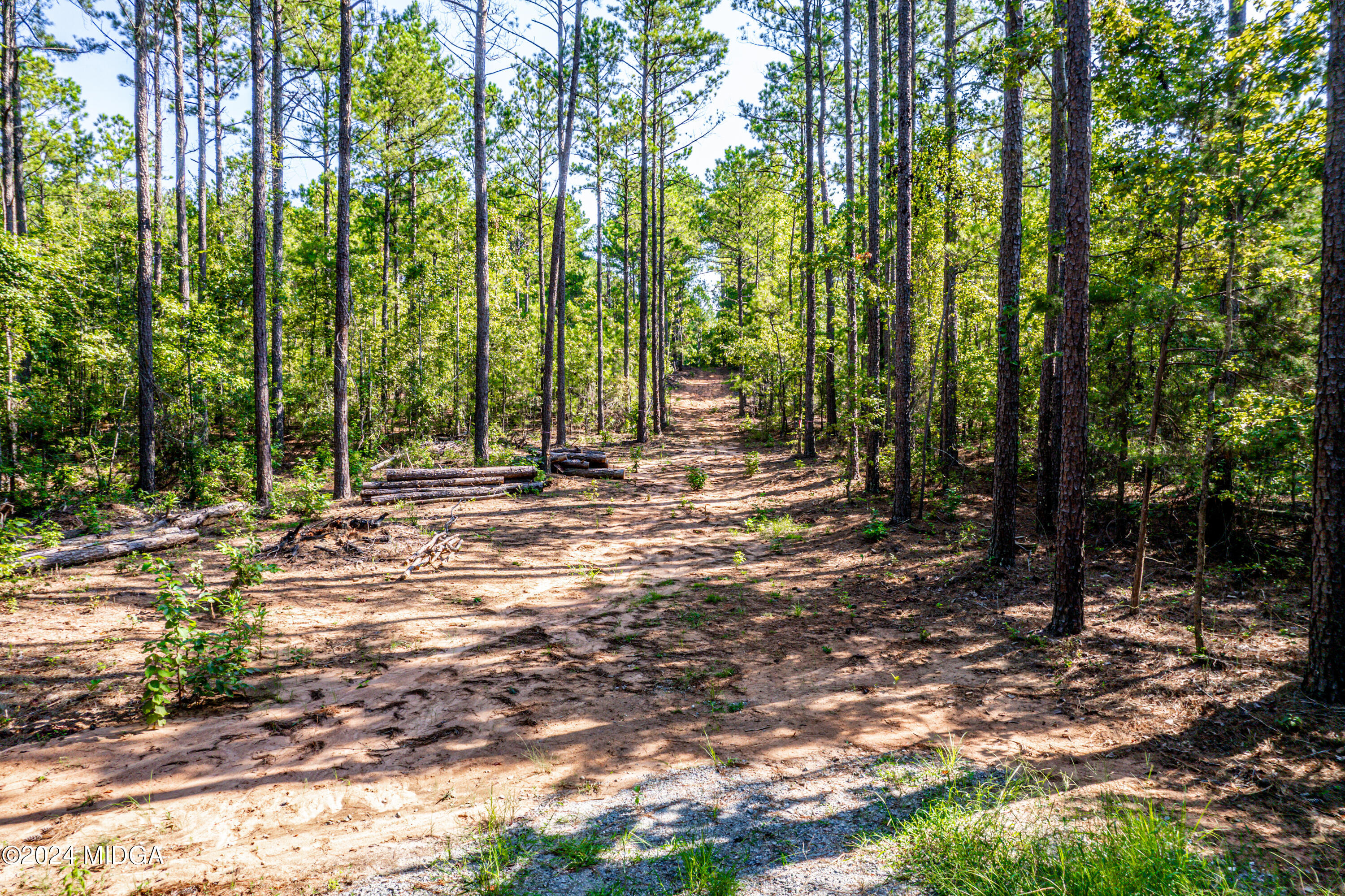 359 Bowen Hill Road Haddock, GA 31033 - Photo 2 of 16 a view of outdoor space with trees
