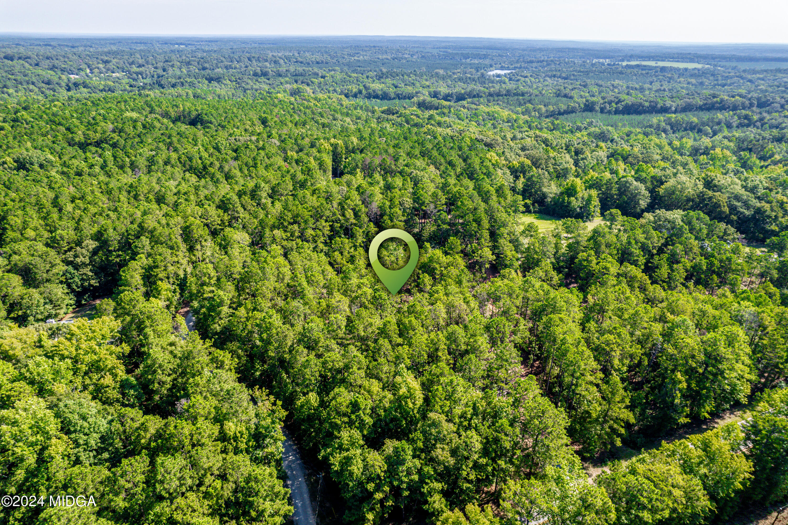 359 Bowen Hill Road Haddock, GA 31033 - Photo 3 of 16 a view of a bunch of trees and bushes