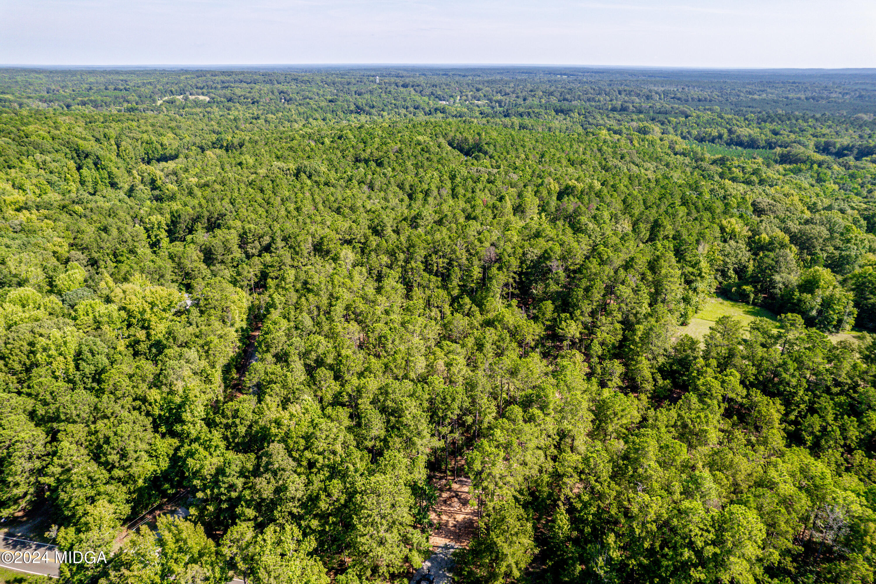 359 Bowen Hill Road Haddock, GA 31033 - Photo 4 of 16 a view of a lush green forest with trees in the background