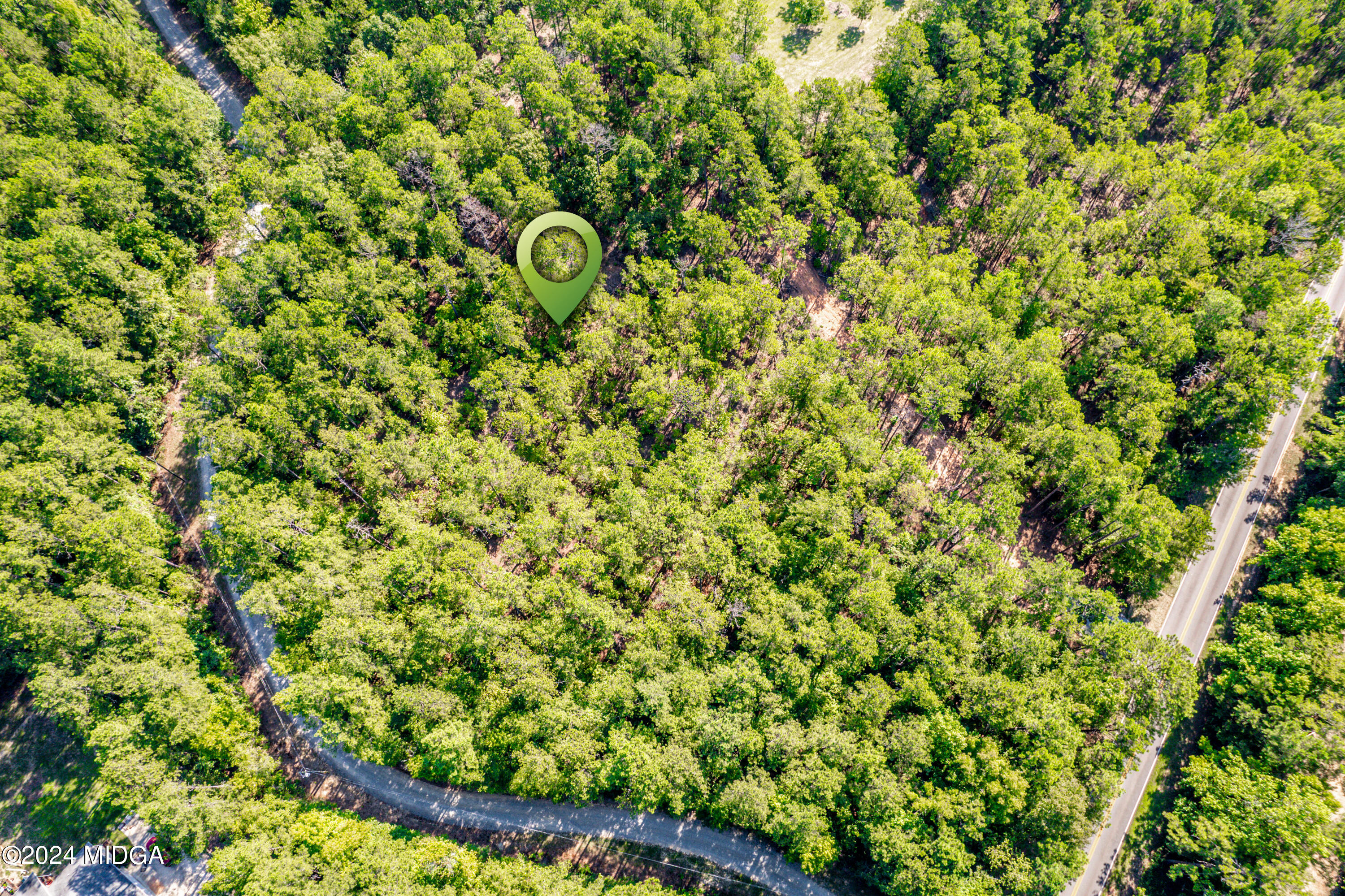 359 Bowen Hill Road Haddock, GA 31033 - Photo 6 of 16 a view of a bunch of trees and bushes