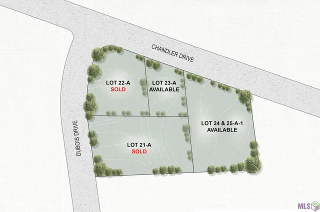 $975,000 | 24-25 Chandler Drive, Baton Rouge, LA 70808