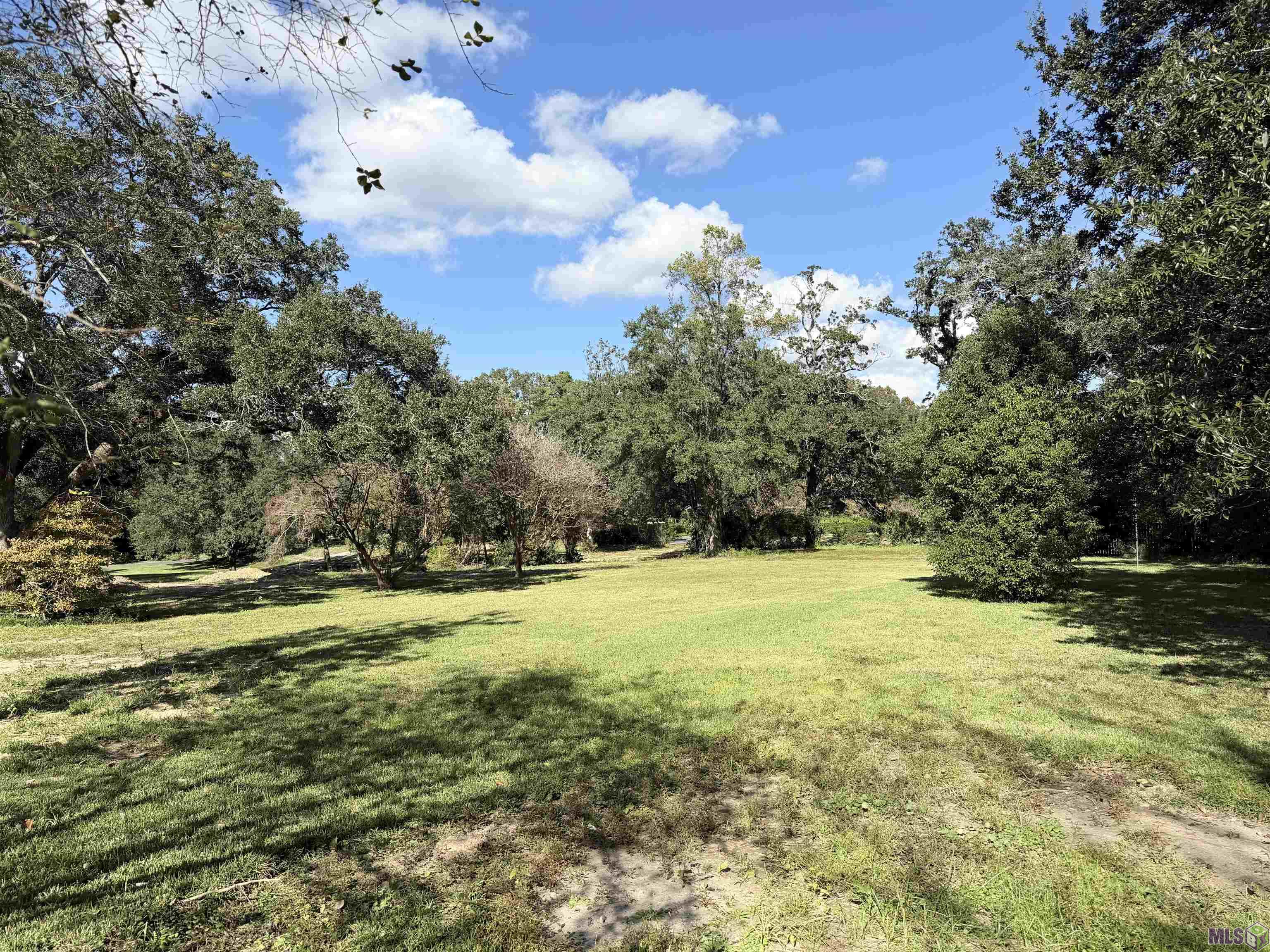 24-25 Chandler Drive Baton Rouge, LA 70808 - Photo 6 of 6