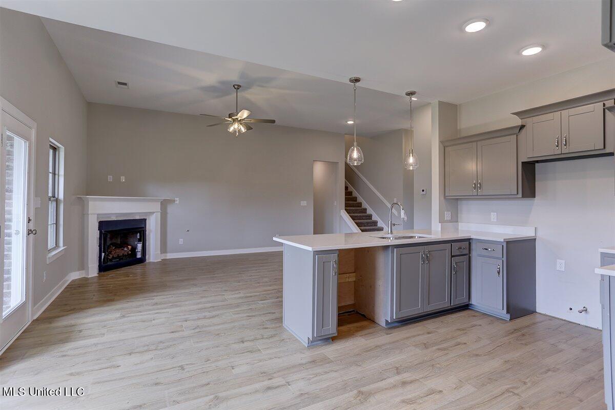 7735 Carmel Cove Walls, MS 38680 - Photo 7 of 20 Kitchen to Family Room