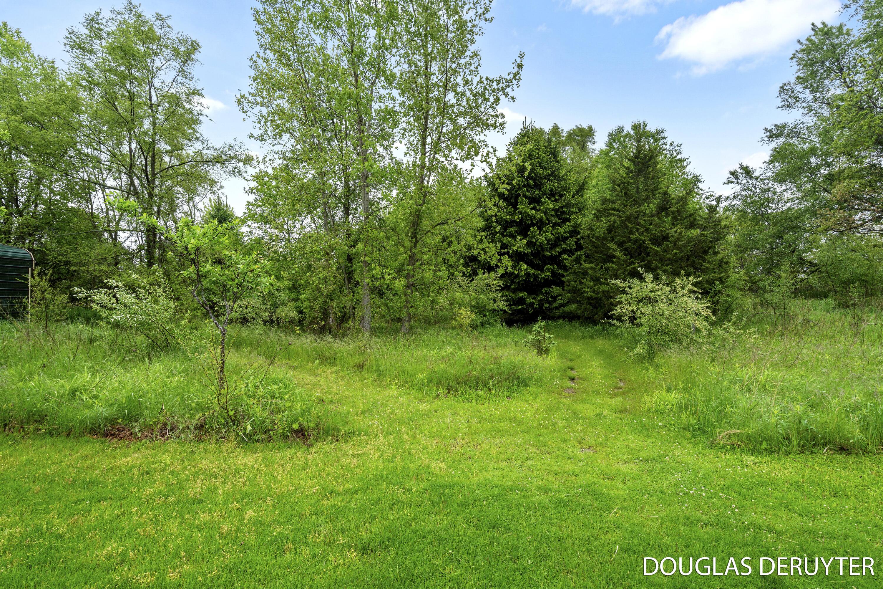 7470 Parmalee Road Middleville, MI 49333 - Photo 44 of 46 45-print-A7401209