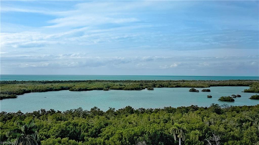 13925 Old Coast Road, Unit 1003 Naples, FL 34110 - Photo 3 of 33 Water view
