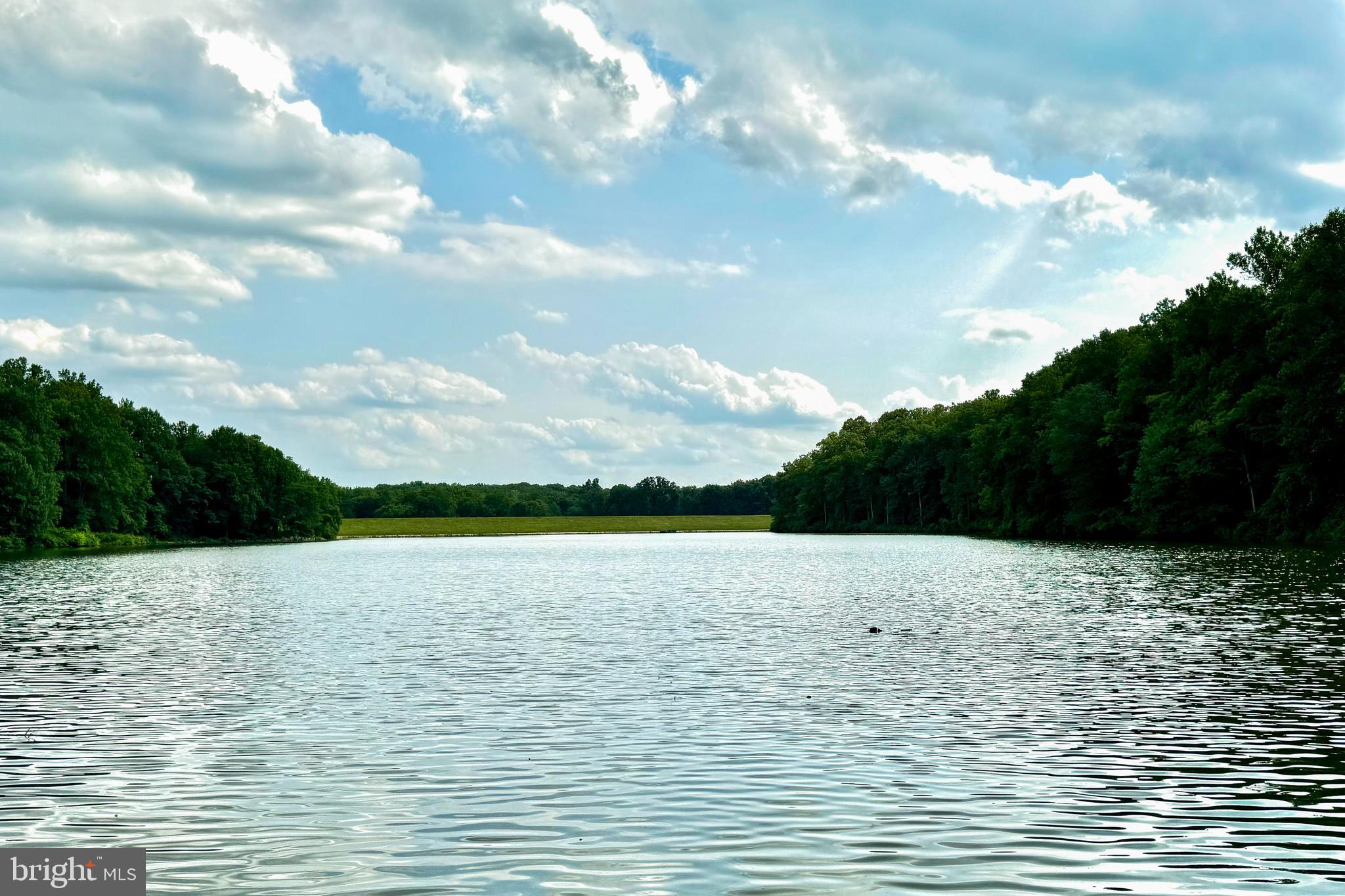 6333 Camilla Street Springfield, VA 22152 - Photo 35 of 54 Lake Accotink Park