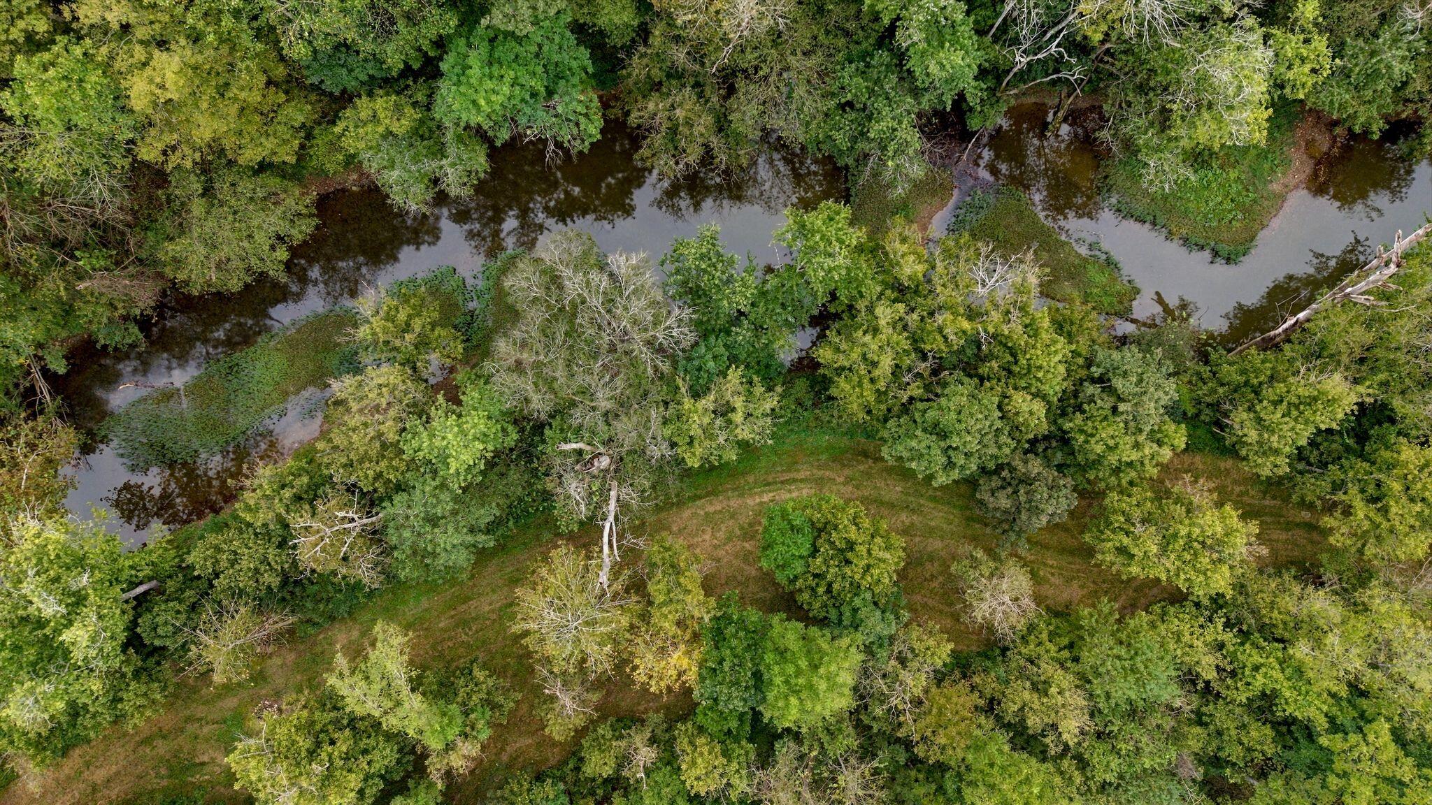649 Joe Snedegar Road Mount Sterling, KY 40353 - Photo 80 of 93 91_649SnedegarRdDrone-016