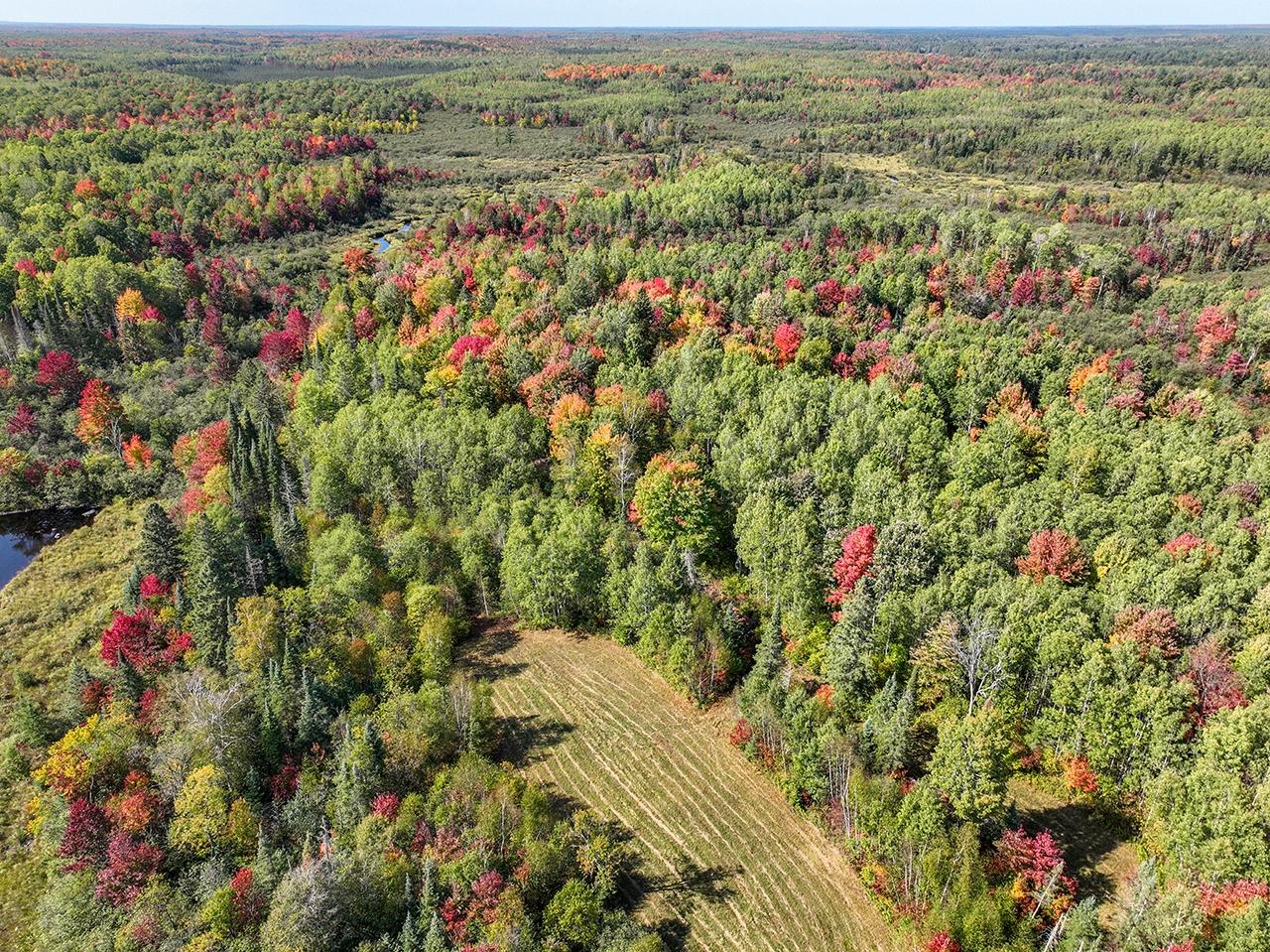 Off Coffee Creek Road Tomahawk, WI 54487 - Photo 32 of 50 Gallery Image 32