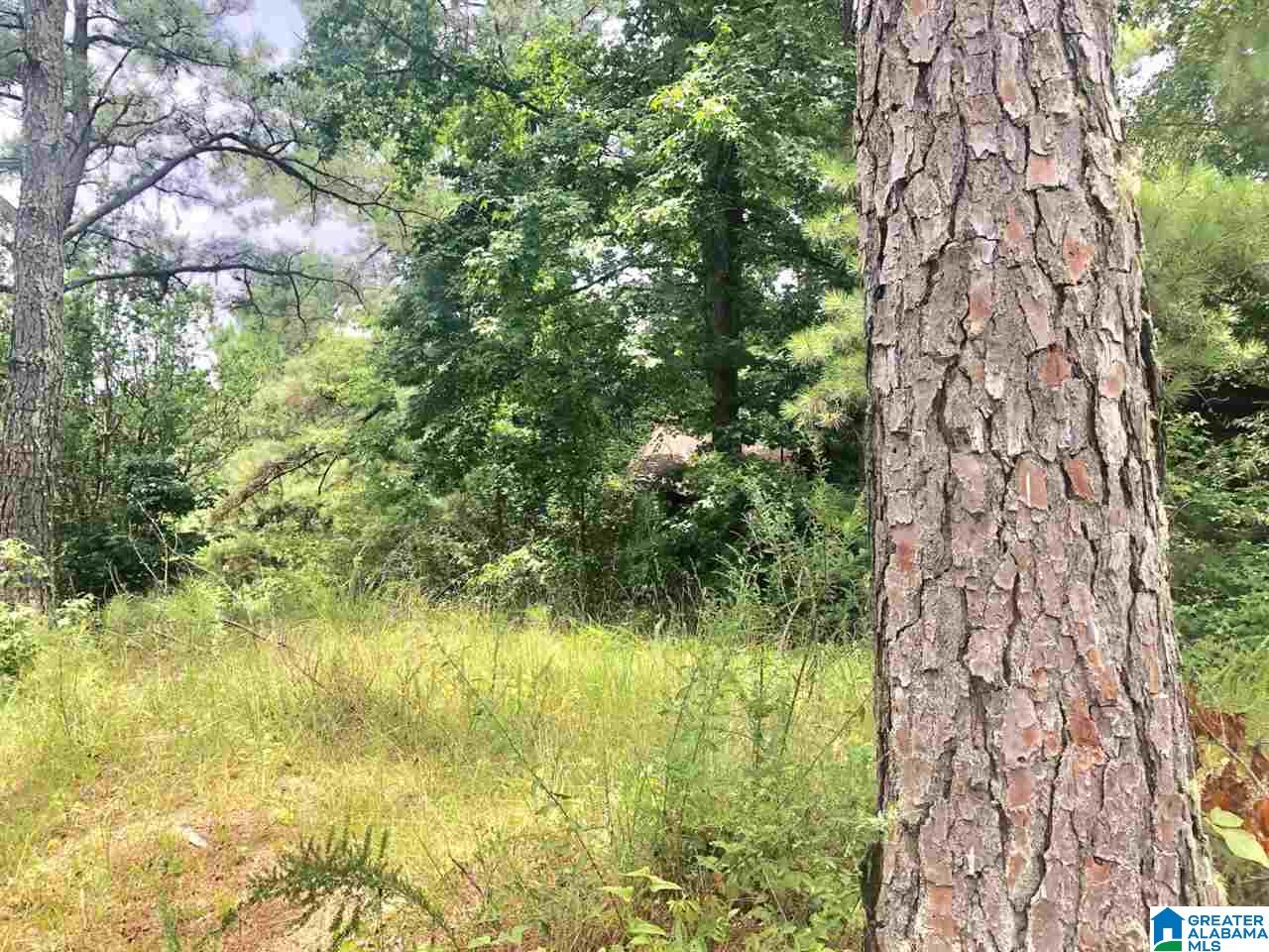 Broken Arrow Road Goodwater, AL 35072 - Photo 25 of 28