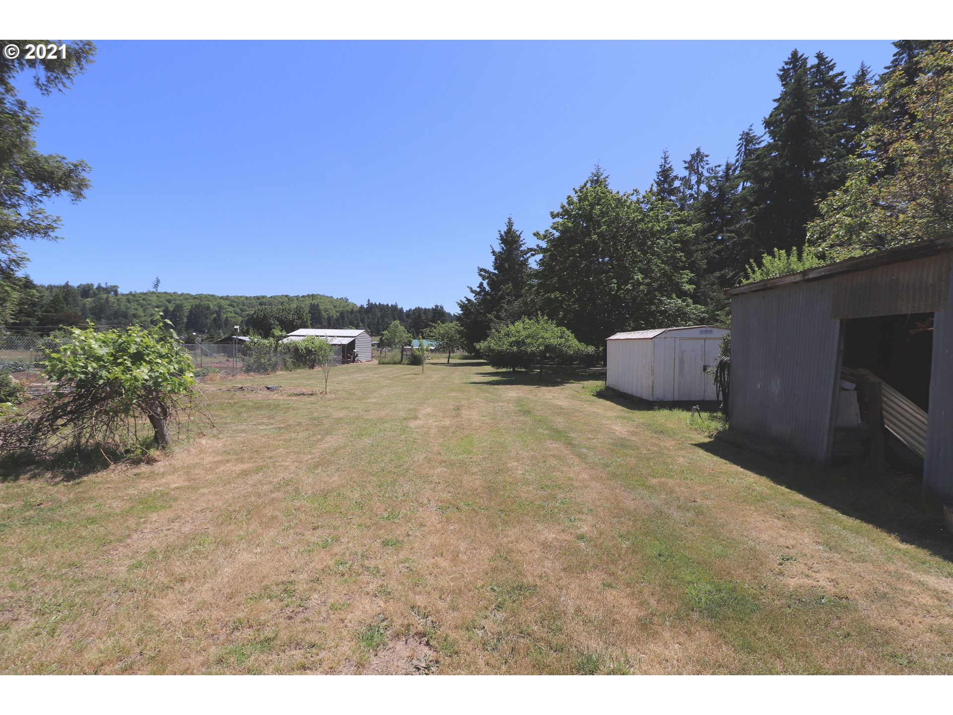 78471 Sears Road Cottage Grove, OR 97424 - Photo 27 of 31 a backyard of a house with lots of green space
