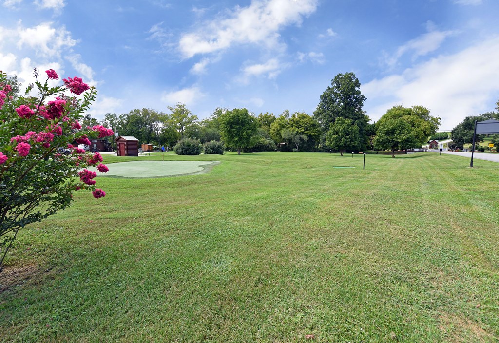 184 Golden Nugget Road Blairsville, GA 30512 - Photo 25 of 29