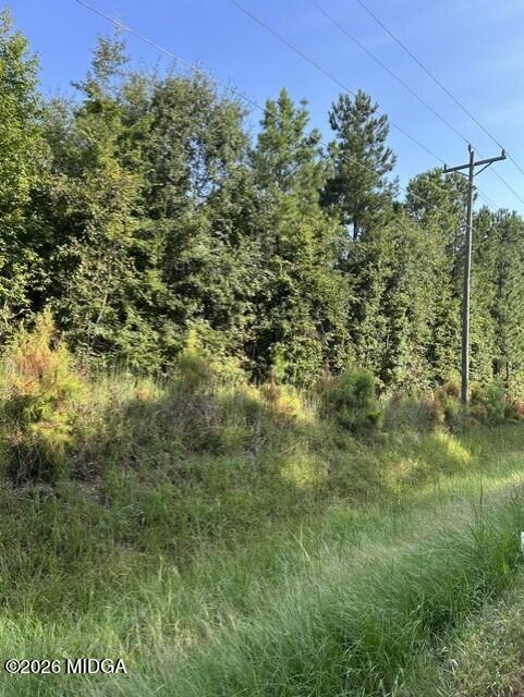806 Pea Ridge Road Juliette, GA 31046 - Photo 7 of 11 8819c14e-d717-42ad-85a0-7809b2a1f826