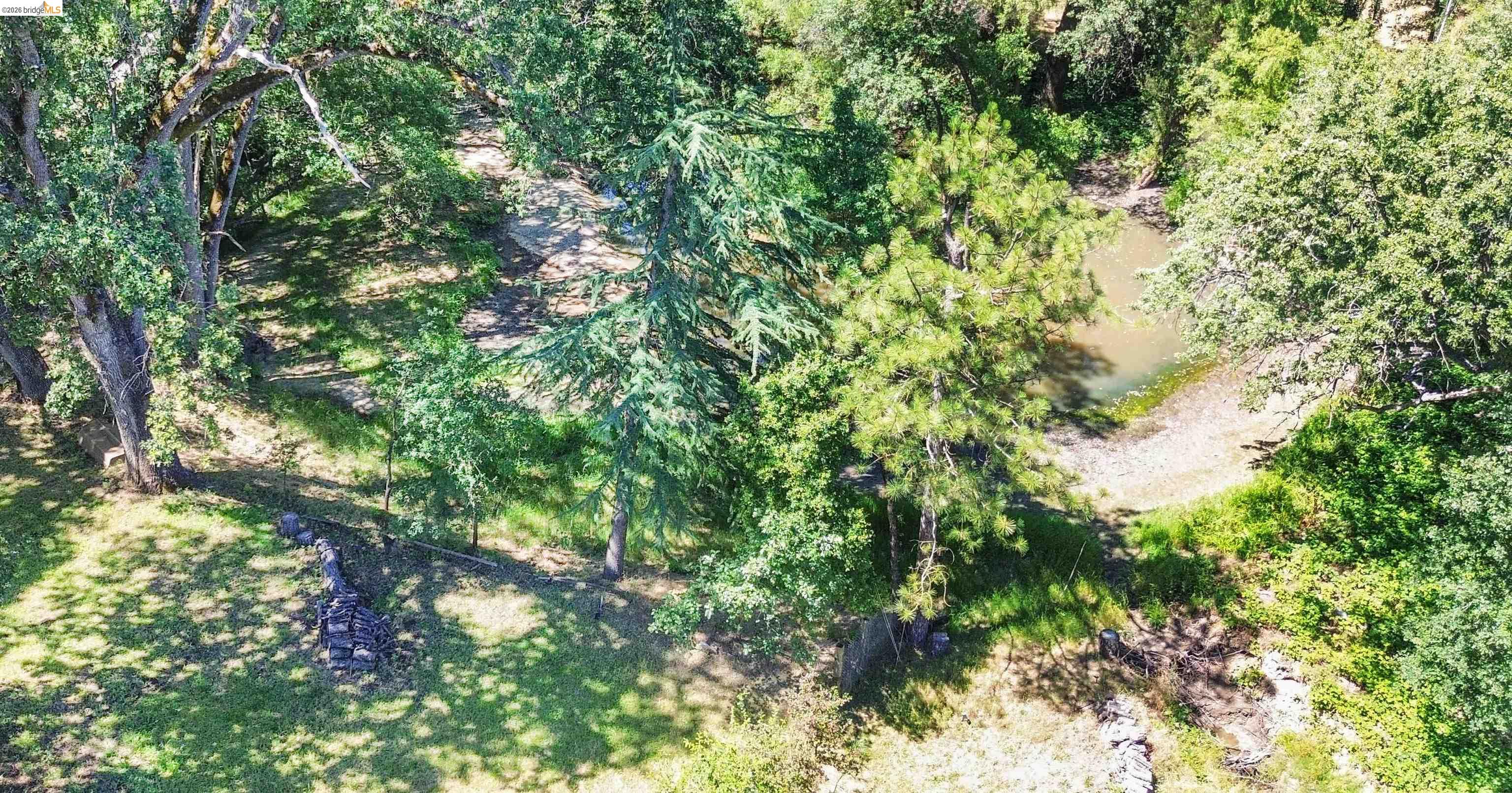 13904 Tuolumne Road Sonora, CA 95370 - Photo 41 of 44 Wooded landscape featuring a natural pond, diverse tree species, and varied topography