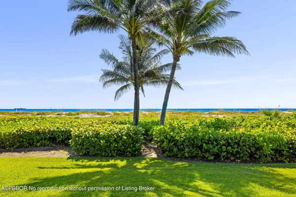a view of a apartment with a palm trees