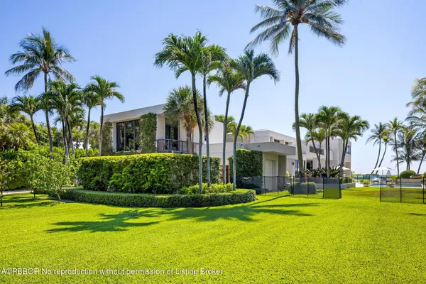 a palm tree sitting in front of a house with a big yard