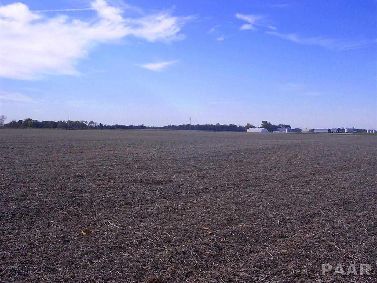 0 North Eagle Pass Road Fairview, IL 61432 - Photo 1 of 1