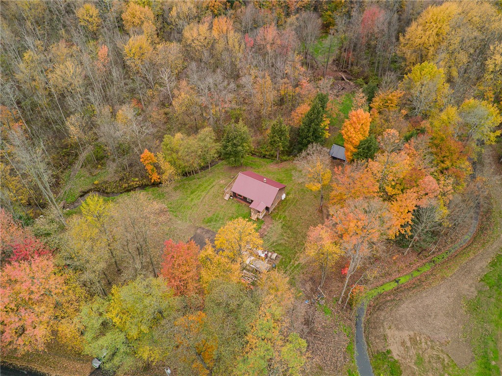 7779 Brown Road Wolcott, NY 14590 - Photo 3 of 37 There’s even a METAL ROOF!