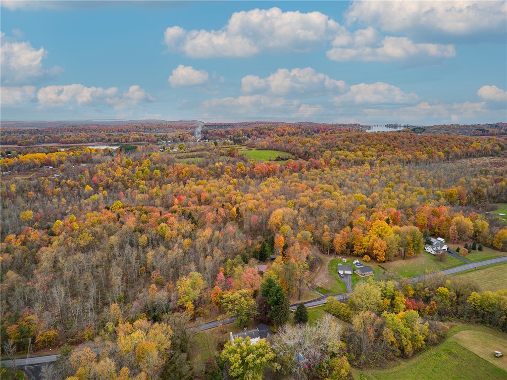 7779 Brown Road Wolcott, NY 14590 - Photo 34 of 37 The BREATHTAKING VIEWS of the WOLCOTT COUNTRYSIDE!