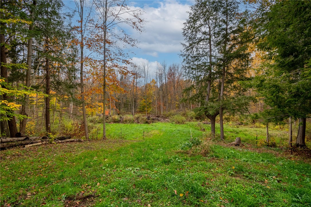 7779 Brown Road Wolcott, NY 14590 - Photo 5 of 37 Here’s the view of the bay parcel