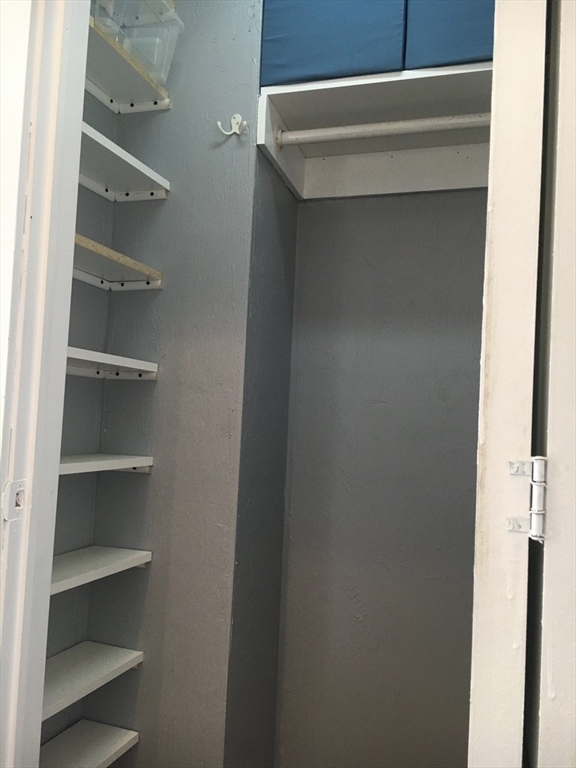 102 Moreland Street Boston, MA 02119 - Photo 25 of 31 a view of walk in closet with empty racks