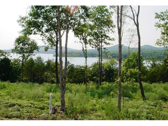 Lot 10 Bread Tray Road Lampe, MO 65681 - Photo 1 of 1 Primary Photo