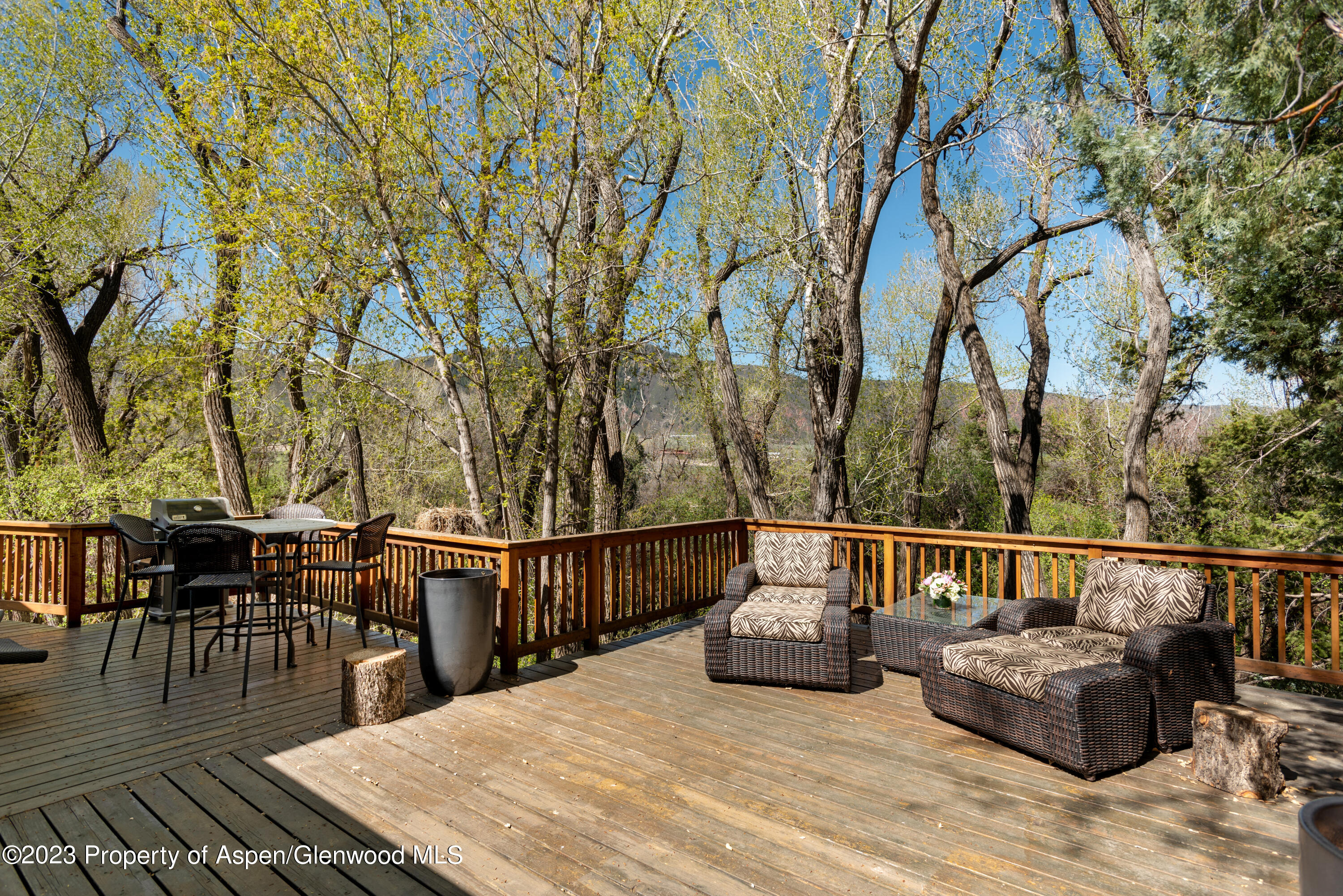 1649 Emma Spur Basalt, CO 81621 - Photo 14 of 35 a view of a roof deck with couches and wooden fence