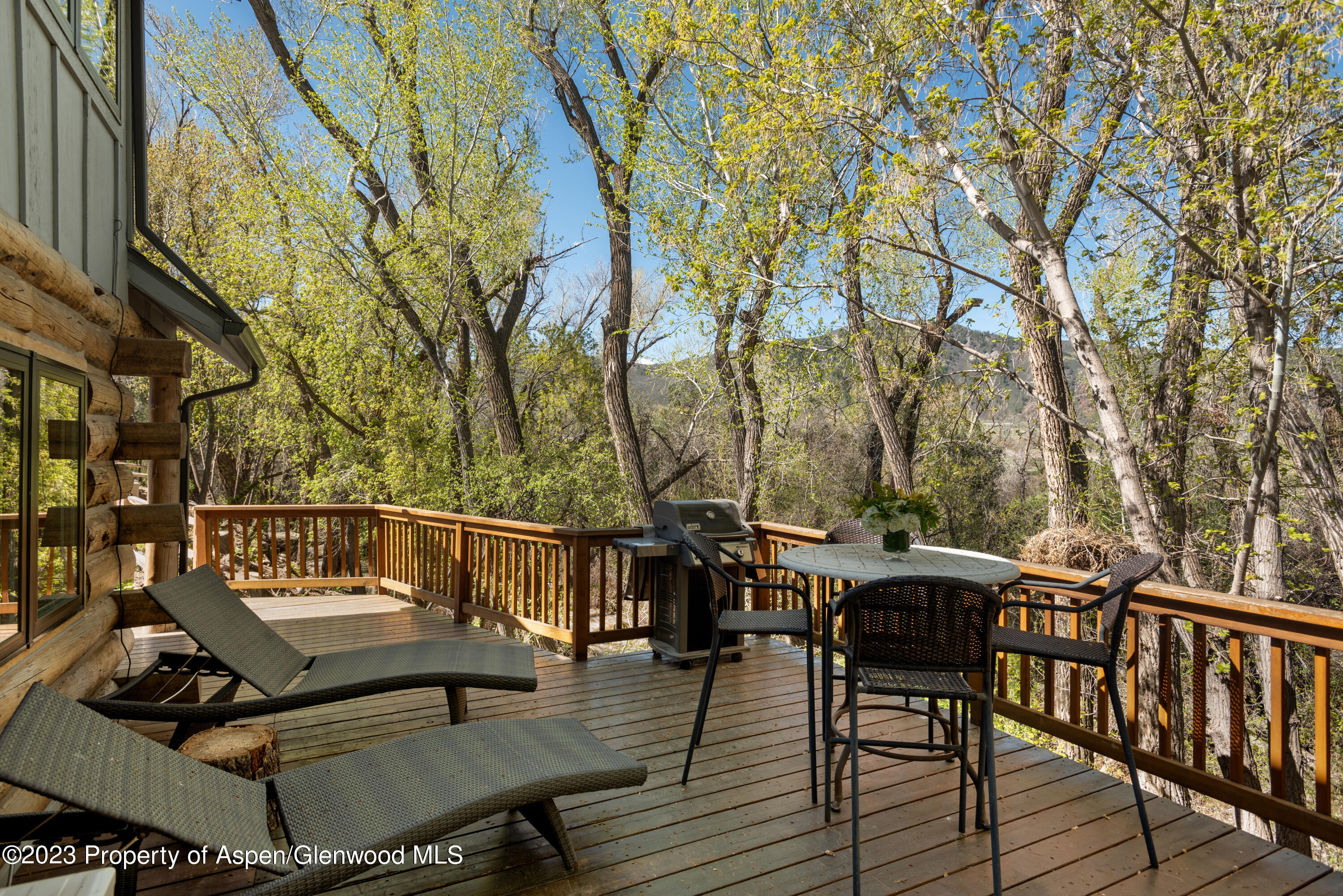 1649 Emma Spur Basalt, CO 81621 - Photo 15 of 35 a view of a roof deck with table and chairs couches and wooden floor