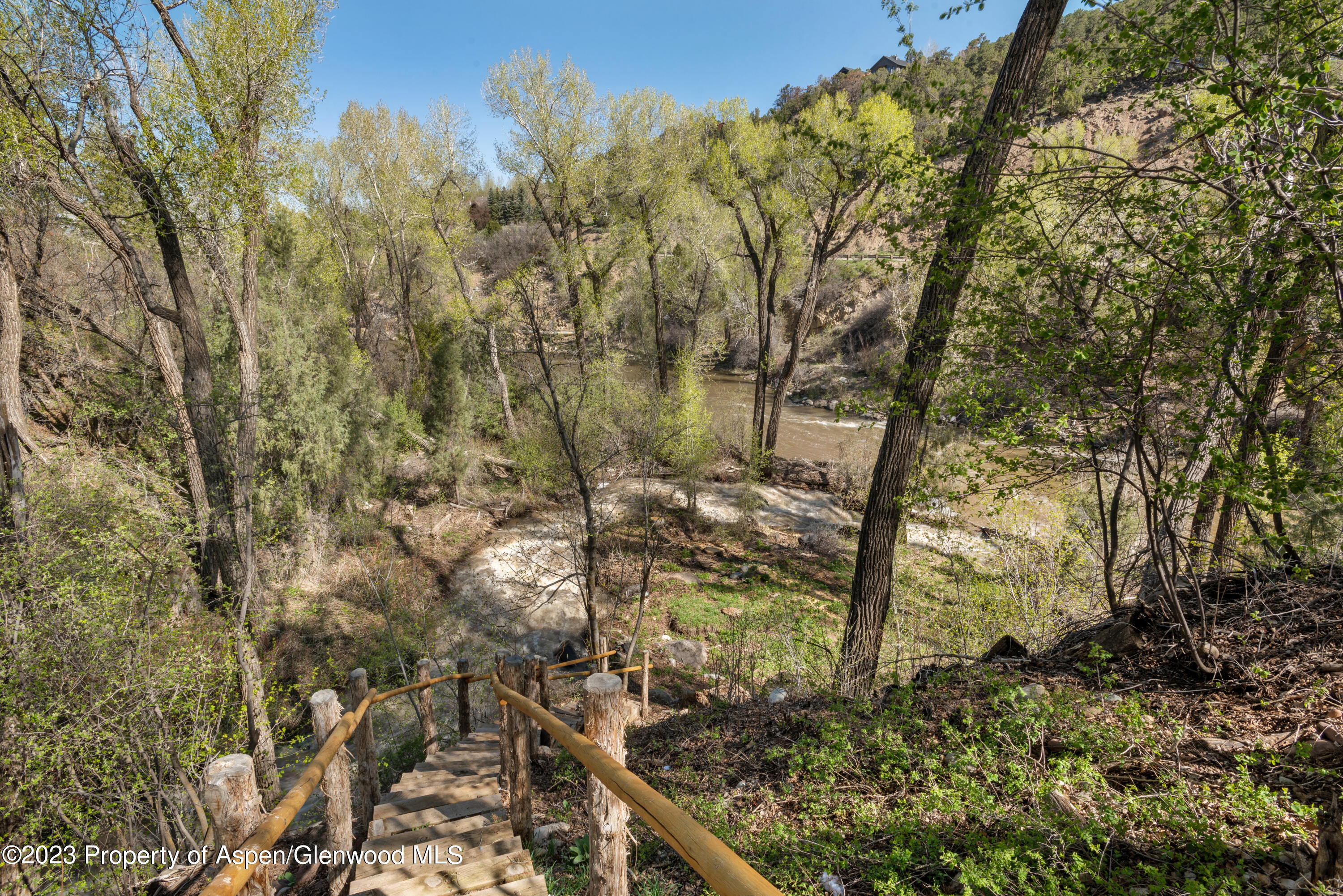 1649 Emma Spur Basalt, CO 81621 - Photo 26 of 35 a view of a yard with plants and large trees