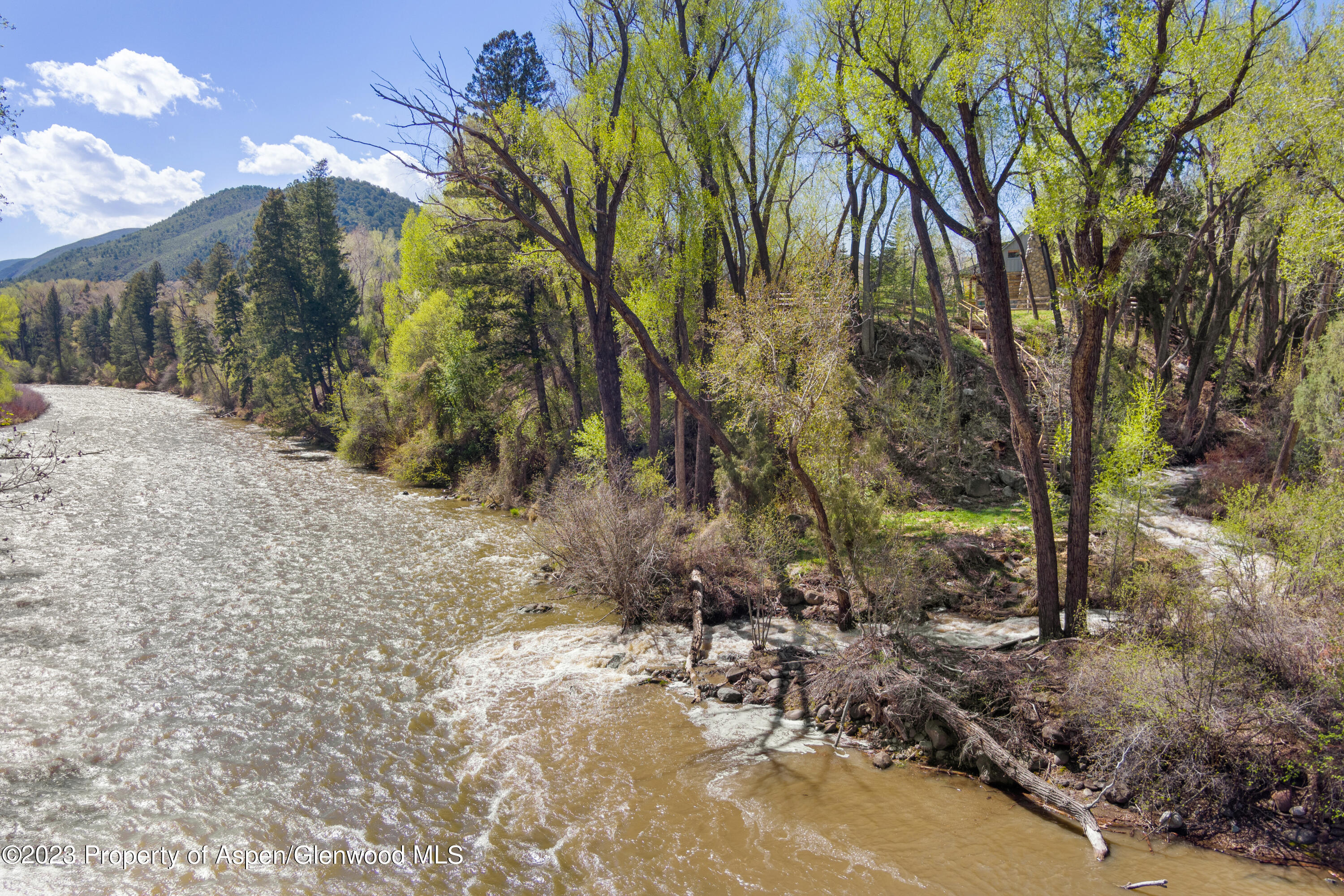 1649 Emma Spur Basalt, CO 81621 - Photo 33 of 35 a view of a yard with plants and trees