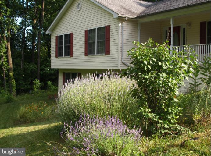 9030 Hamburg Road Frederick, MD 21702 - Photo 2 of 14 Exterior Summer Garden