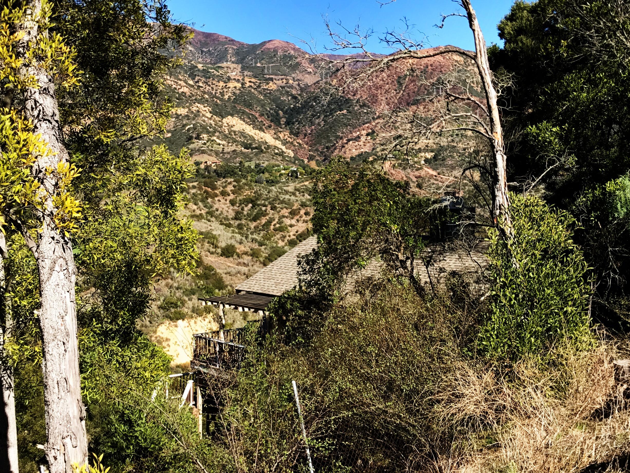 160 Conejo Road Santa Barbara, CA 93103 - Photo 12 of 16 IMG_8753