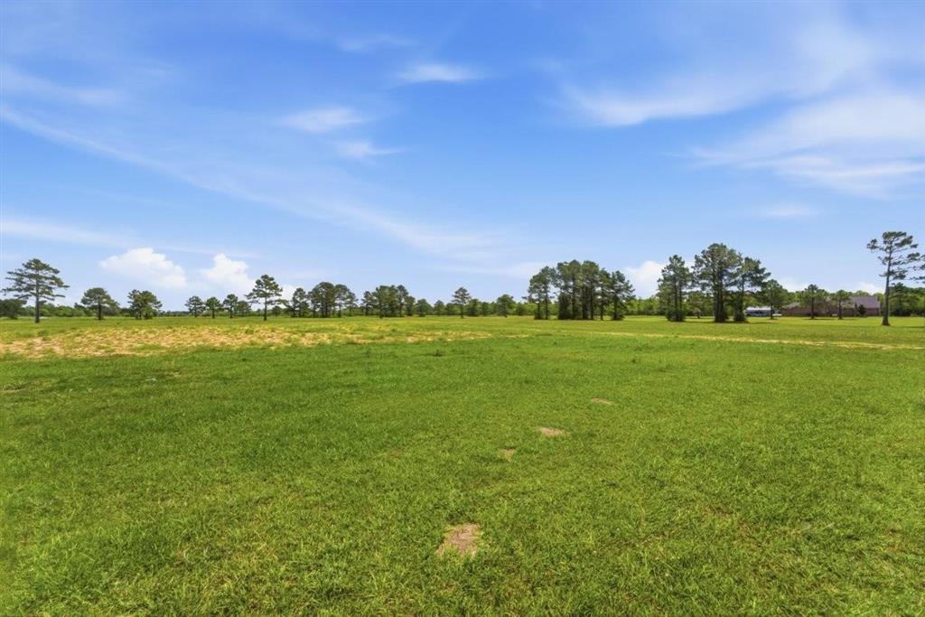 Lognion Road Bell City, LA 70630 - Photo 17 of 18